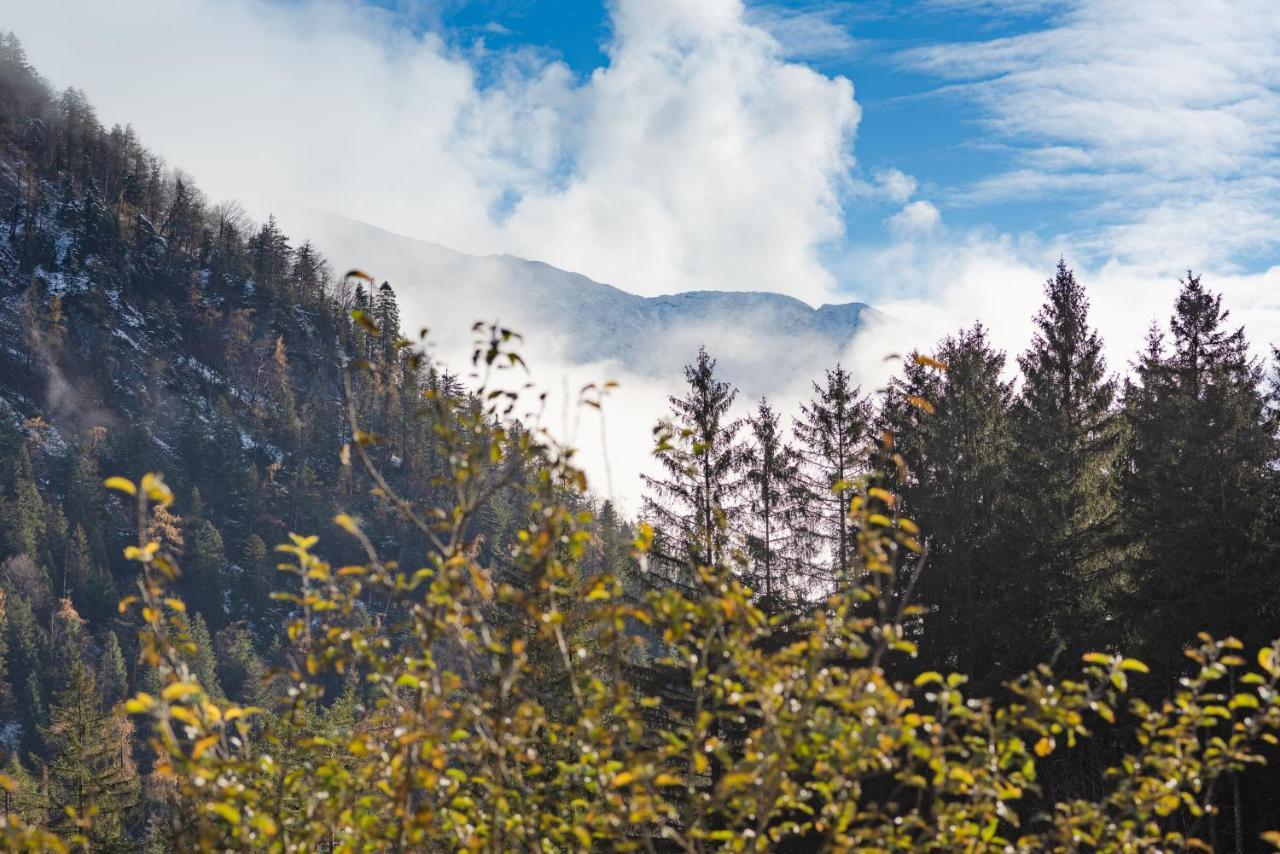 Chalets & Apartments Beim Waicher Ruhpolding Luaran gambar