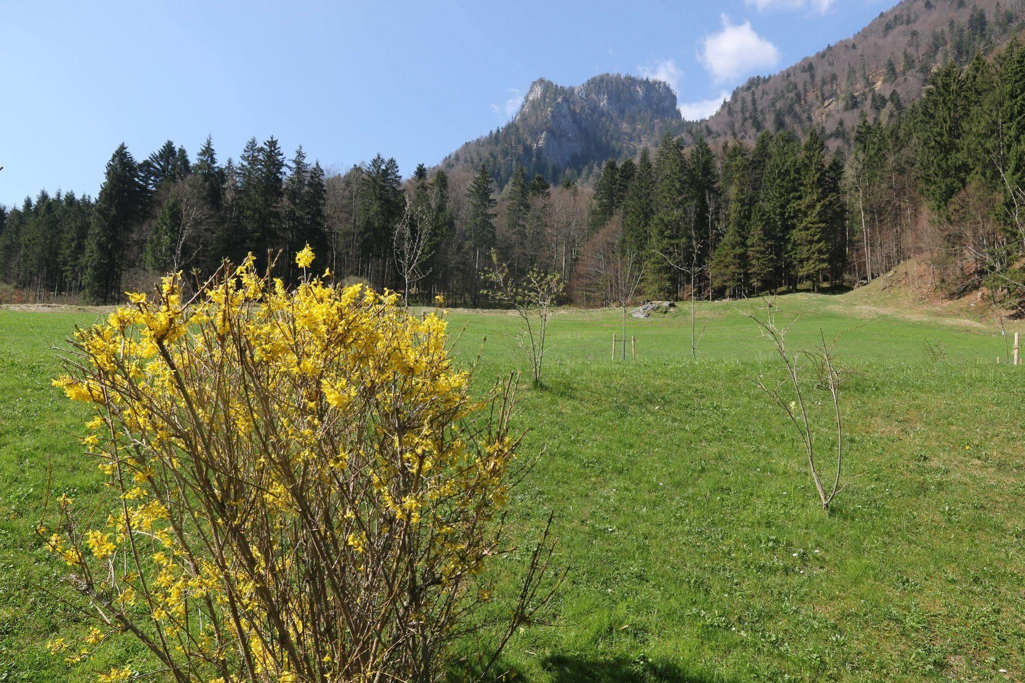 Chalets & Apartments Beim Waicher Ruhpolding Luaran gambar
