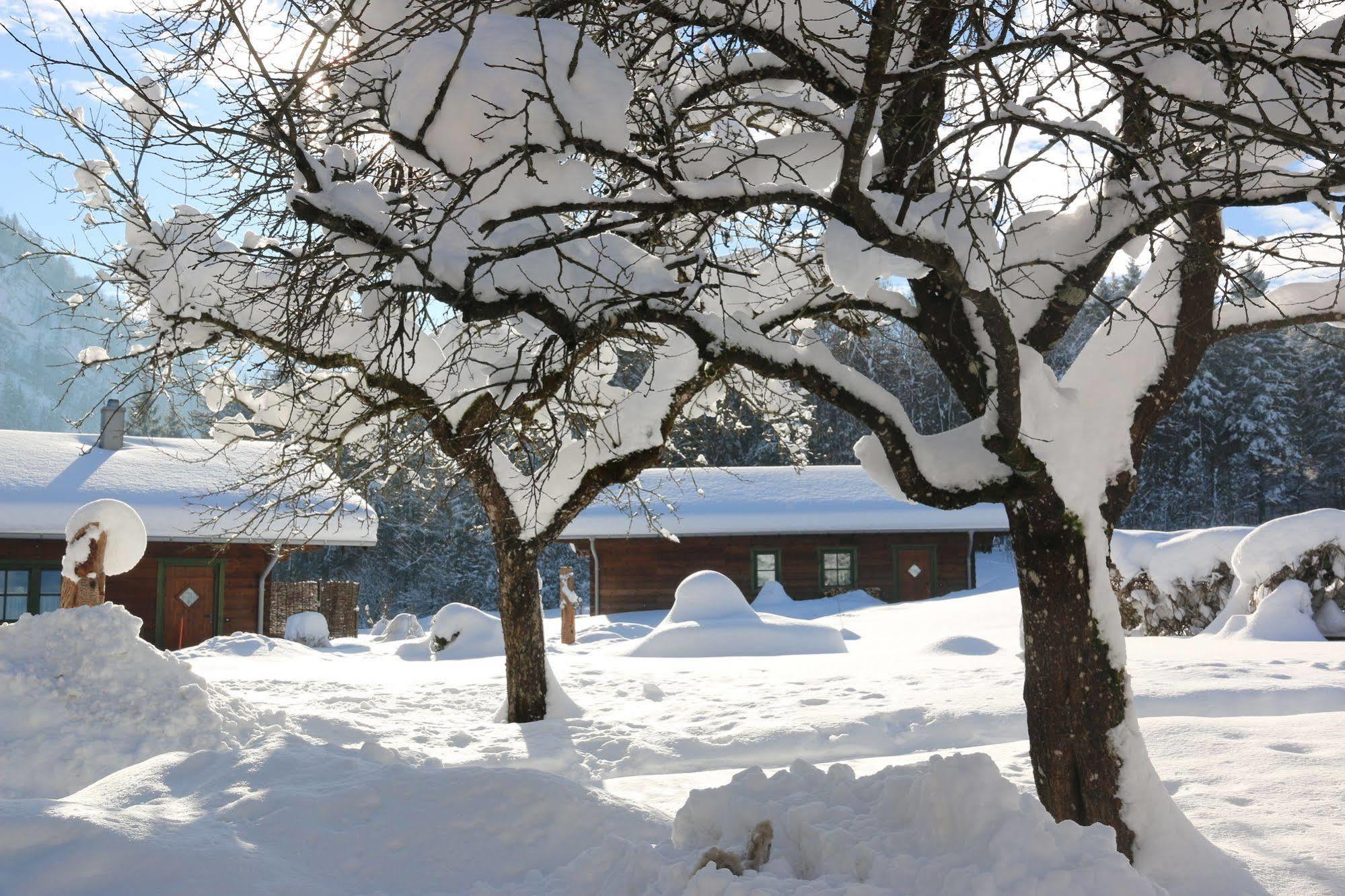 Chalets & Apartments Beim Waicher Ruhpolding Luaran gambar